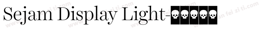 Sejam Display Light字体转换